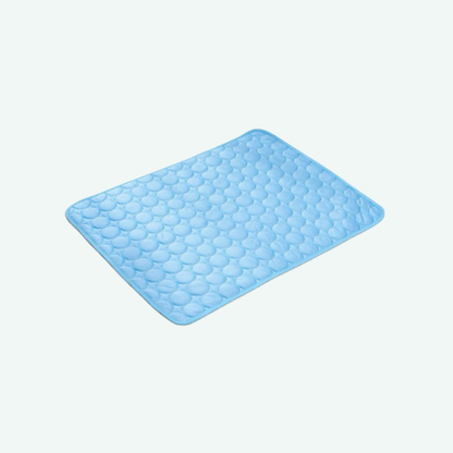 Cozipaw DE